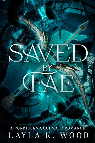 Saved by Fae cover